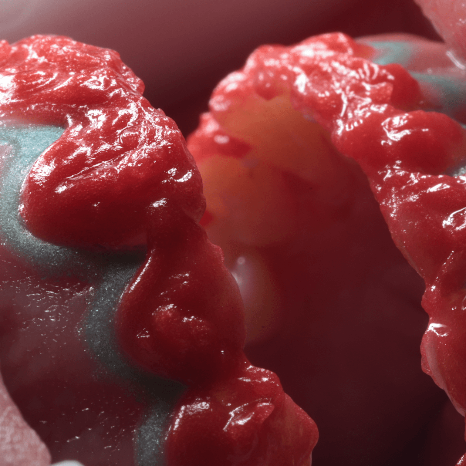 Descrição da imagem